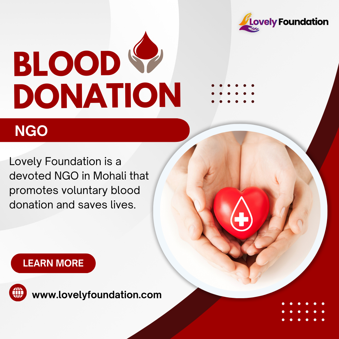 Lovely Foundation