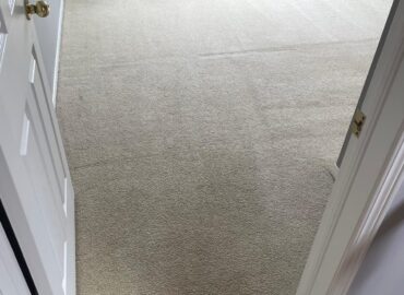 Toronto Steam Cleaning