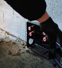 Commercial pest control sydney