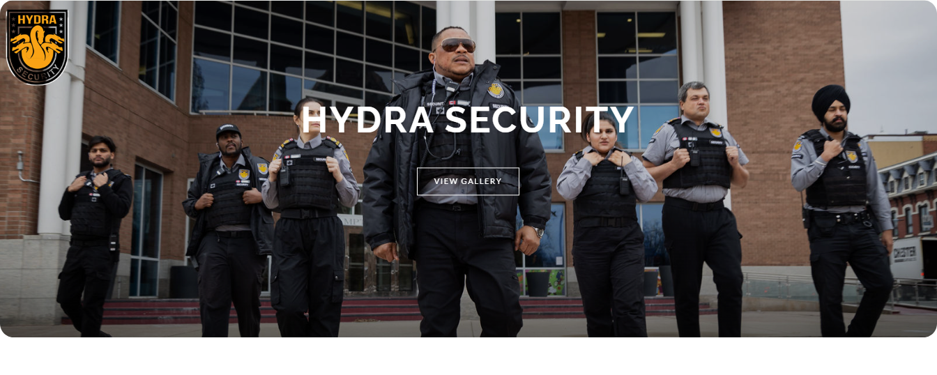 Hydra Security