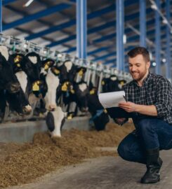 Livestock Capital