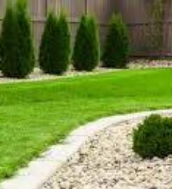 reseeding $lawn repair