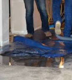 Action Carpet Cleaning