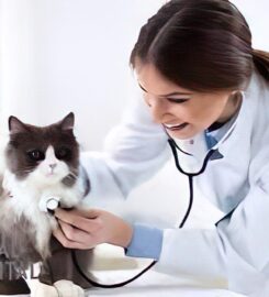 242 Animal Hospital