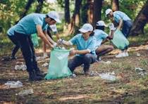 All Clear Environmental Services, LLC