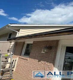 All Pro Gutter Guards