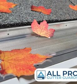 All Pro Gutter Guards