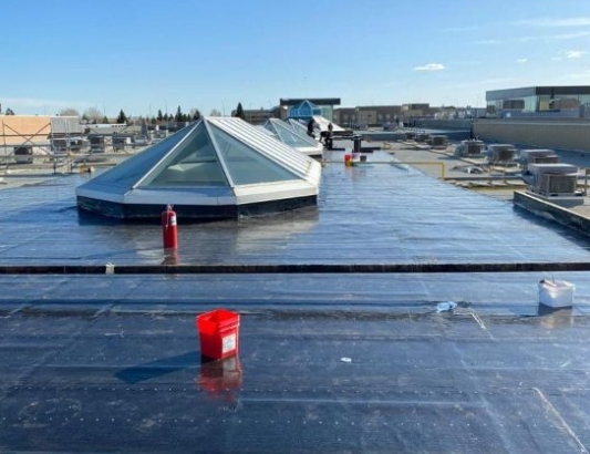 Flat Roof Services Inc.