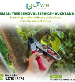 Lawn Masters