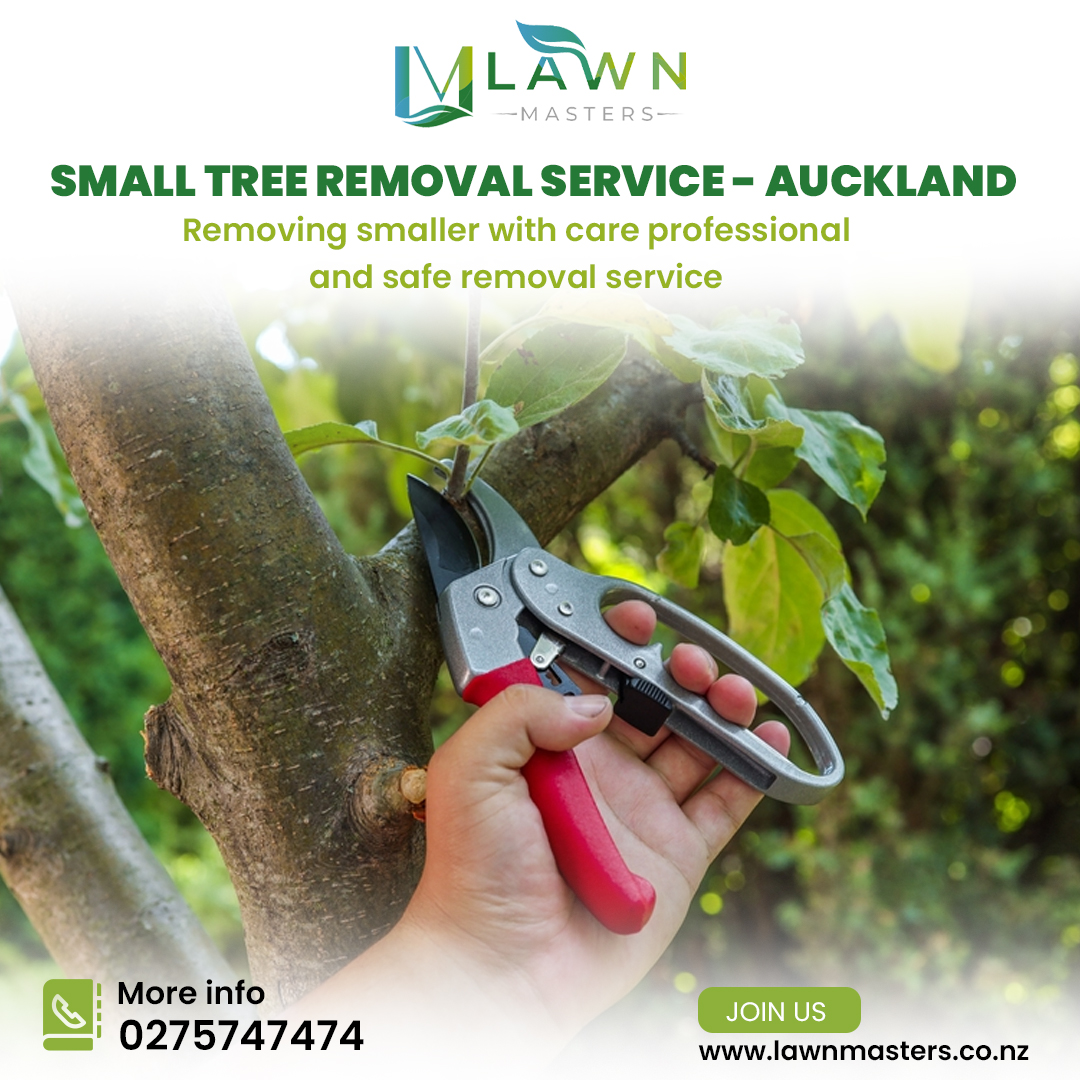 Lawn Masters