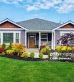 reseeding $lawn repair