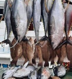 Big Shooter Fishing Charters