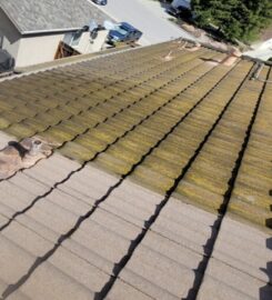 Gecko Power Wash