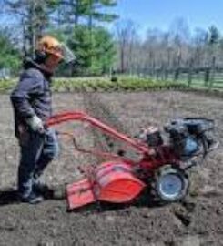 reseeding $lawn repair