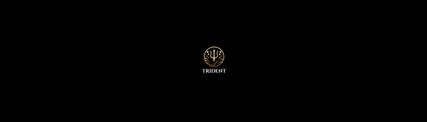 Trident Professional Cleaning Services