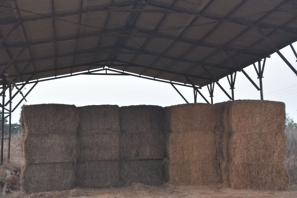 Alabama Pole Barn Builders