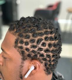 RB African Braids
