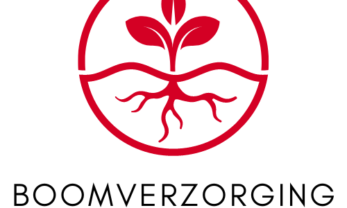 Goede kennis van boomschade