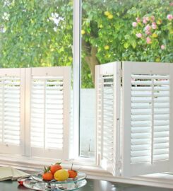 DBS Window Treatments