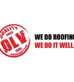 DLV Roofing Houston LLC