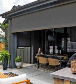 DBS Window Treatments