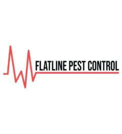 Pest Control Long Jetty – Flatline Pest Control