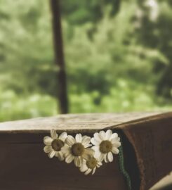 Global Funeral Repatriation