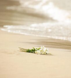 Global Funeral Repatriation