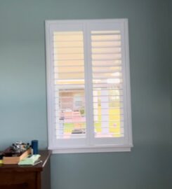 DBS Window Treatments