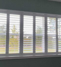 DBS Window Treatments