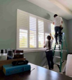 DBS Window Treatments