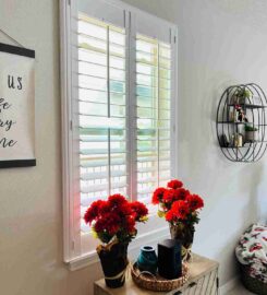 DBS Window Treatments