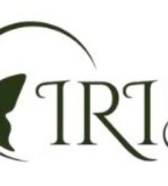 Iris Home Massage