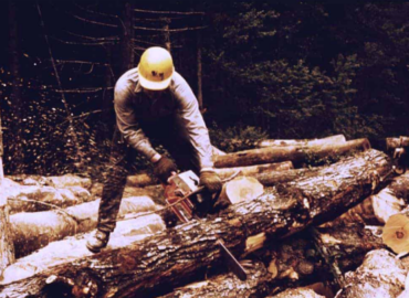 Tree Service Pros of Frisco