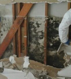 Dry Out Restoration