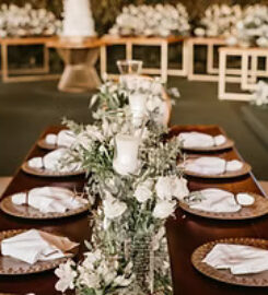 Opulence Entertainment Group