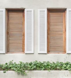 DBS Window Treatments