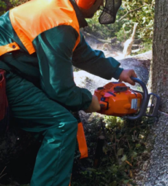 Tree Removal of Frisco