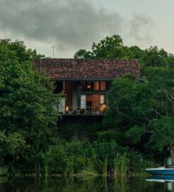 Serendipity Retreats
