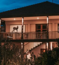Serendipity Retreats