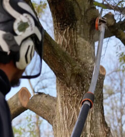 Challengers Tree Service