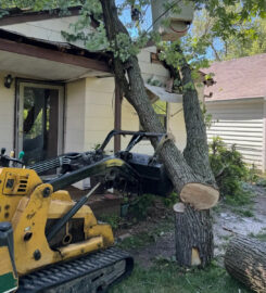 Challengers Tree Service
