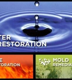 Restoration Pro NW