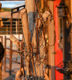 Frontier Trailers & Roping Supply
