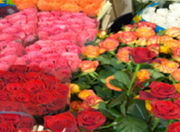 Grapevine Garden & Florist