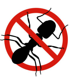 Clarksville Pest Control Pros