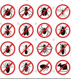 Clarksville Pest Control Pros