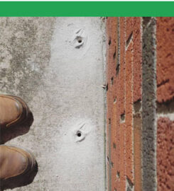 Weston Termite Treatments