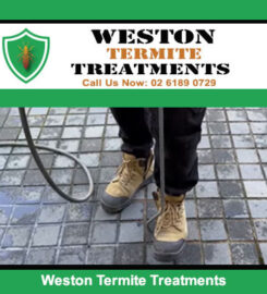 Weston Termite Treatments