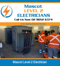 Mascot Level 2 Electricians